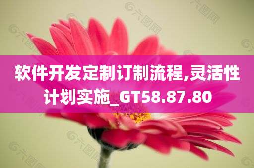 软件开发定制订制流程,灵活性计划实施_GT58.87.80