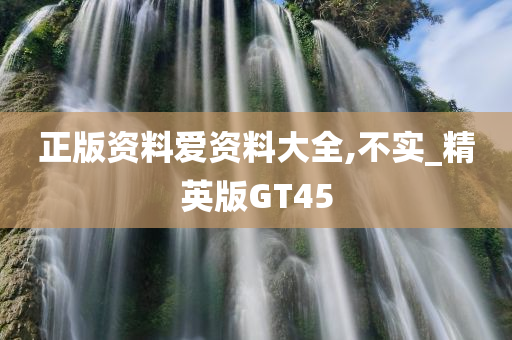 正版资料爱资料大全,不实_精英版GT45