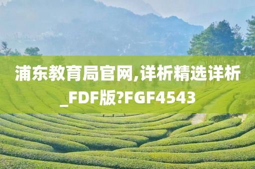 浦东教育局官网,详析精选详析_FDF版?FGF4543