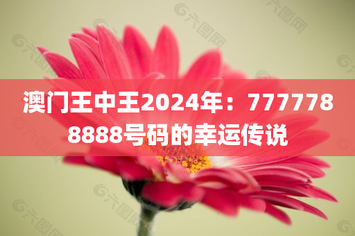 澳门王中王2024年：7777788888号码的幸运传说