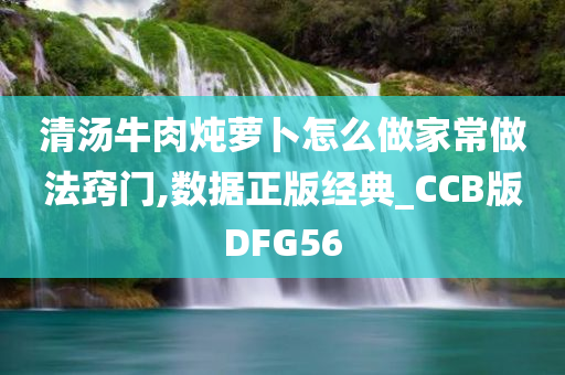 清汤牛肉炖萝卜怎么做家常做法窍门,数据正版经典_CCB版DFG56