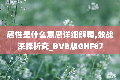 感性是什么意思详细解释,效战深释析究_BVB版GHF87