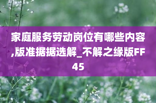 家庭服务劳动岗位有哪些内容,版准据据选解_不解之缘版FF45