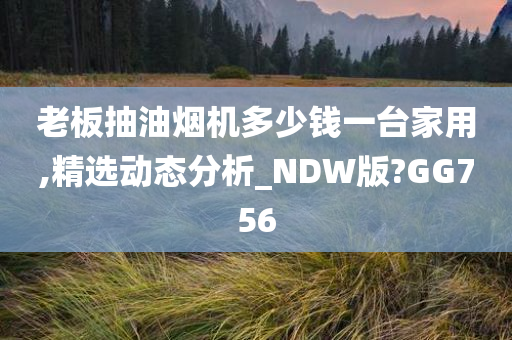 老板抽油烟机多少钱一台家用,精选动态分析_NDW版?GG756