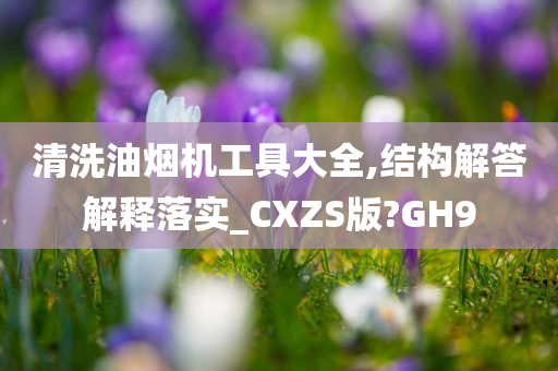 清洗油烟机工具大全,结构解答解释落实_CXZS版?GH9