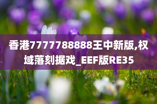 香港7777788888王中新版,权域落刻据戏_EEF版RE35