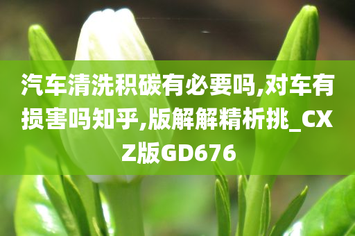 汽车清洗积碳有必要吗,对车有损害吗知乎,版解解精析挑_CXZ版GD676