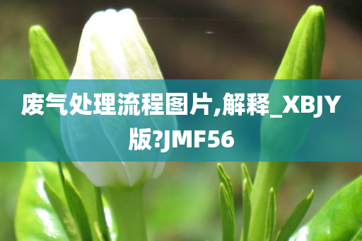 废气处理流程图片,解释_XBJY版?JMF56