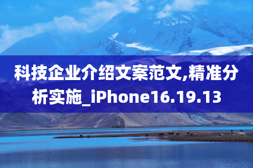 科技企业介绍文案范文,精准分析实施_iPhone16.19.13