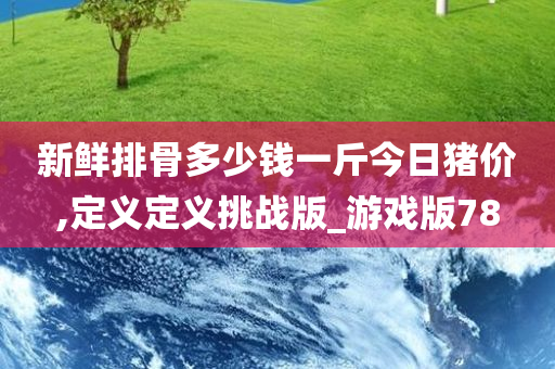 新鲜排骨多少钱一斤今日猪价,定义定义挑战版_游戏版78