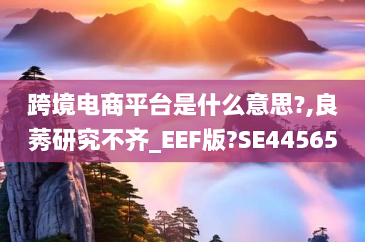 跨境电商平台是什么意思?,良莠研究不齐_EEF版?SE44565