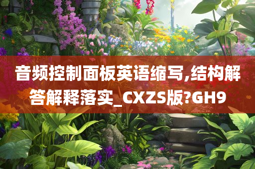 音频控制面板英语缩写,结构解答解释落实_CXZS版?GH9