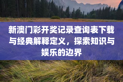 新澳门彩开奖记录查询表下载与经典解释定义，探索知识与娱乐的边界