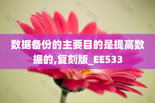 数据备份的主要目的是提高数据的,复刻版_EE533