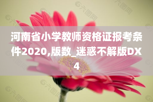 河南省小学教师资格证报考条件2020,版数_迷惑不解版DX4