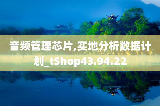 音频管理芯片,实地分析数据计划_tShop43.94.22