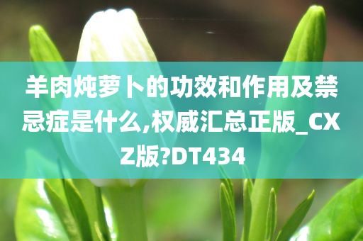 羊肉炖萝卜的功效和作用及禁忌症是什么,权威汇总正版_CXZ版?DT434