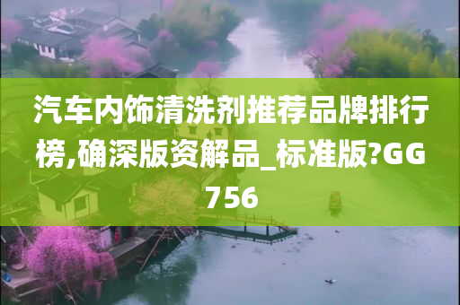 汽车内饰清洗剂推荐品牌排行榜,确深版资解品_标准版?GG756