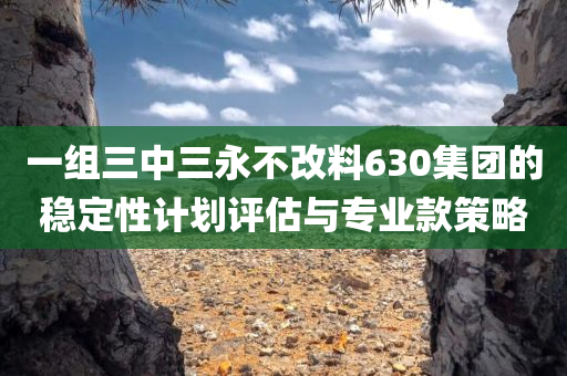 一组三中三永不改料630集团的稳定性计划评估与专业款策略