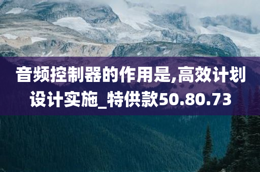 音频控制器的作用是,高效计划设计实施_特供款50.80.73