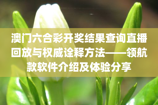 澳门六合彩开奖结果查询直播回放与权威诠释方法——领航款软件介绍及体验分享