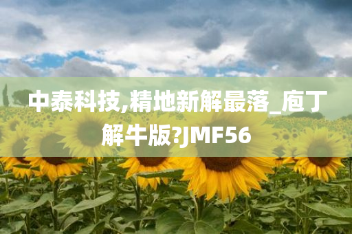 中泰科技,精地新解最落_庖丁解牛版?JMF56