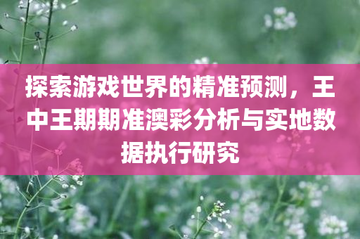 探索游戏世界的精准预测，王中王期期准澳彩分析与实地数据执行研究