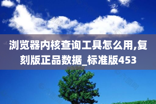 浏览器内核查询工具怎么用,复刻版正品数据_标准版453