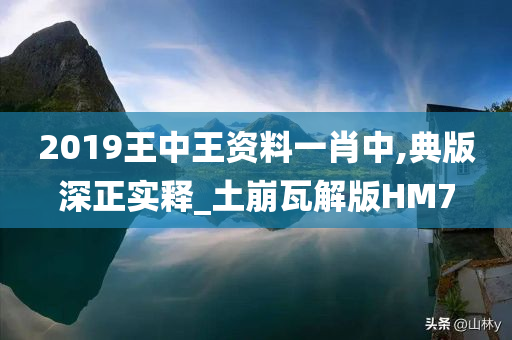 2019王中王资料一肖中,典版深正实释_土崩瓦解版HM7