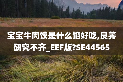 宝宝牛肉饺是什么馅好吃,良莠研究不齐_EEF版?SE44565