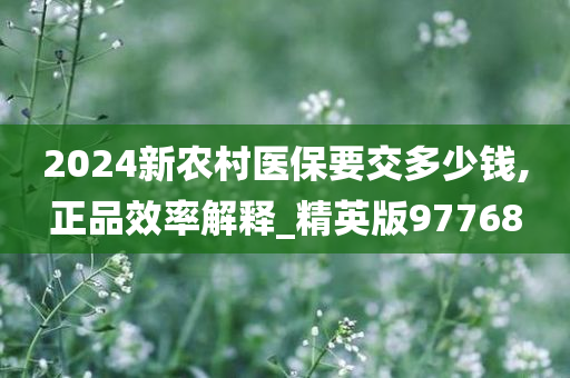 2024新农村医保要交多少钱,正品效率解释_精英版97768