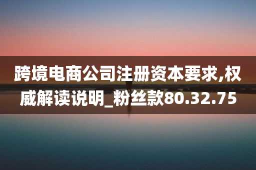 跨境电商公司注册资本要求,权威解读说明_粉丝款80.32.75