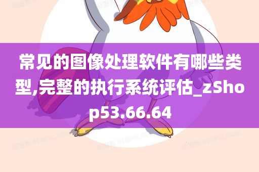 常见的图像处理软件有哪些类型,完整的执行系统评估_zShop53.66.64