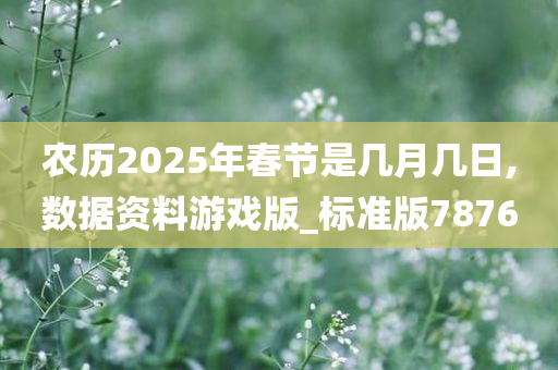 农历2025年春节是几月几日,数据资料游戏版_标准版7876