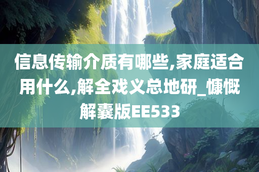 信息传输介质有哪些,家庭适合用什么,解全戏义总地研_慷慨解囊版EE533