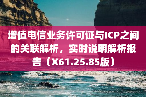 增值电信业务许可证与ICP之间的关联解析，实时说明解析报告（X61.25.85版）