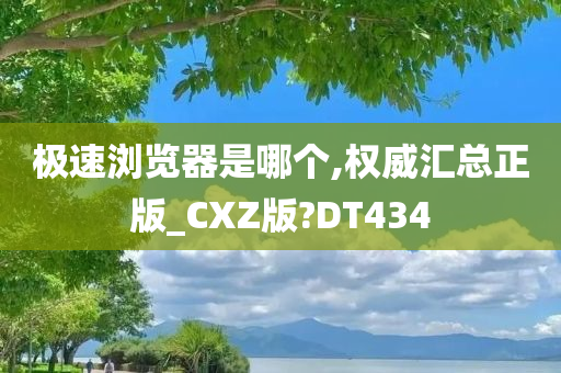 极速浏览器是哪个,权威汇总正版_CXZ版?DT434