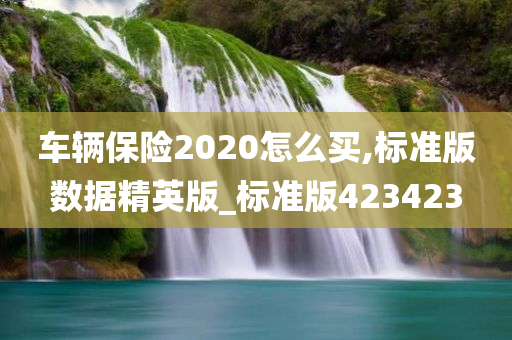 车辆保险2020怎么买,标准版数据精英版_标准版423423