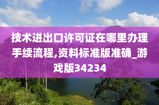 技术进出口许可证在哪里办理手续流程,资料标准版准确_游戏版34234