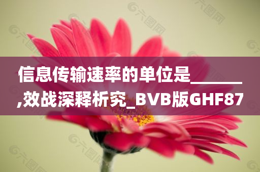 信息传输速率的单位是______,效战深释析究_BVB版GHF87