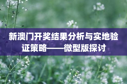 新澳门开奖结果分析与实地验证策略——微型版探讨