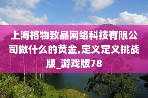 上海格物致品网络科技有限公司做什么的黄金,定义定义挑战版_游戏版78