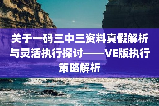 关于一码三中三资料真假解析与灵活执行探讨——VE版执行策略解析