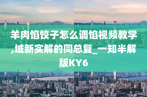 羊肉馅饺子怎么调馅视频教学,域新实解的同总复_一知半解版KY6