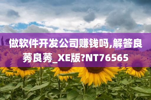 做软件开发公司赚钱吗,解答良莠良莠_XE版?NT76565