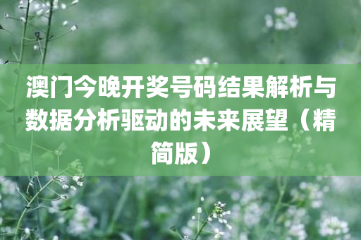 澳门今晚开奖号码结果解析与数据分析驱动的未来展望（精简版）