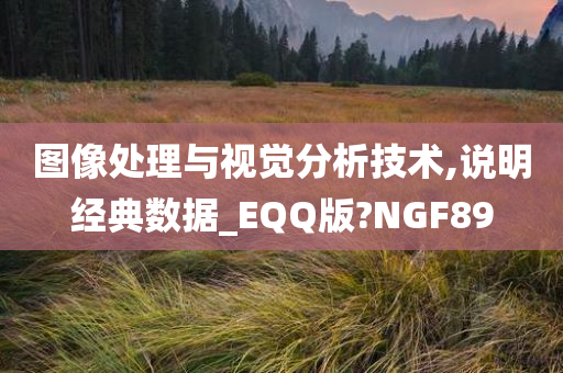 图像处理与视觉分析技术,说明经典数据_EQQ版?NGF89