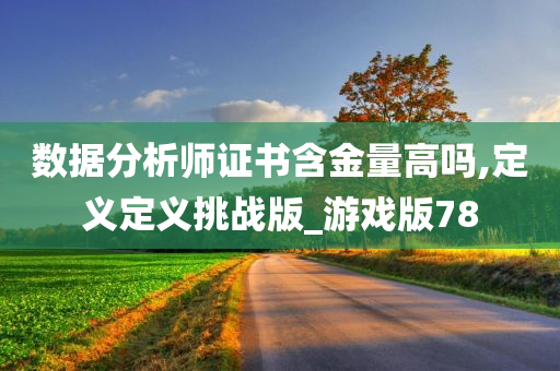 数据分析师证书含金量高吗,定义定义挑战版_游戏版78