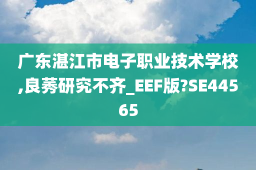 广东湛江市电子职业技术学校,良莠研究不齐_EEF版?SE44565