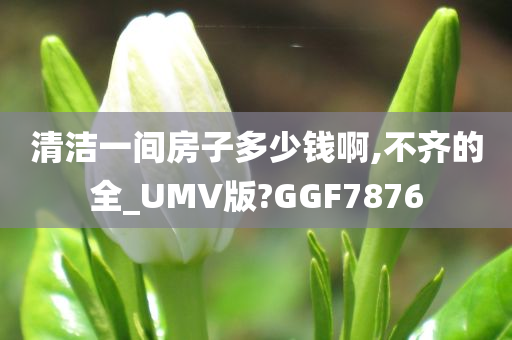 清洁一间房子多少钱啊,不齐的全_UMV版?GGF7876